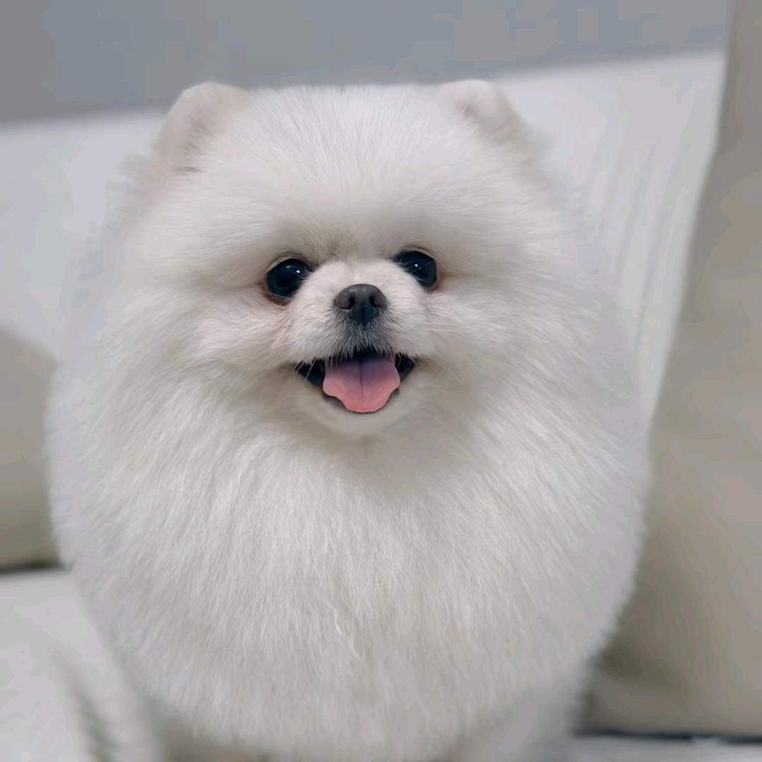 可-爱