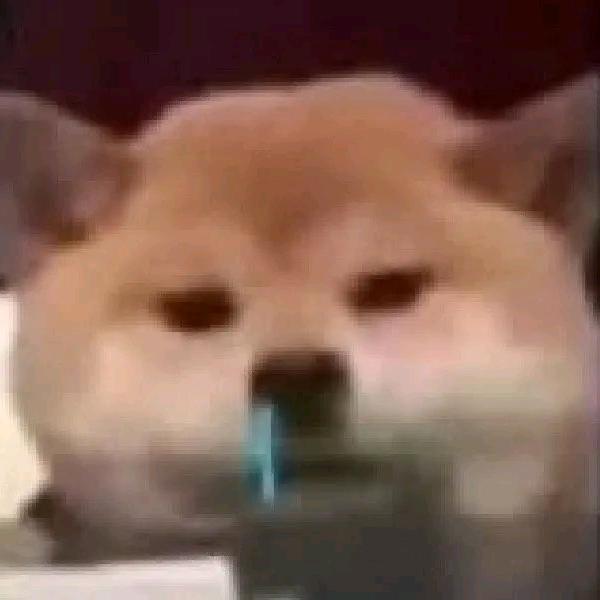 超级无敌暴龙战士