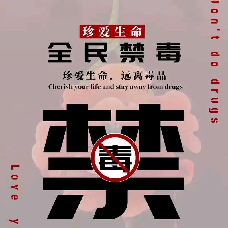 小趴菜。。。