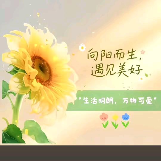 青艾艾制品