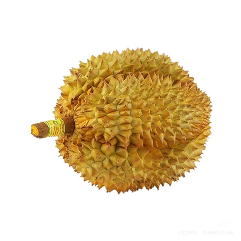 一哥一哥🔥