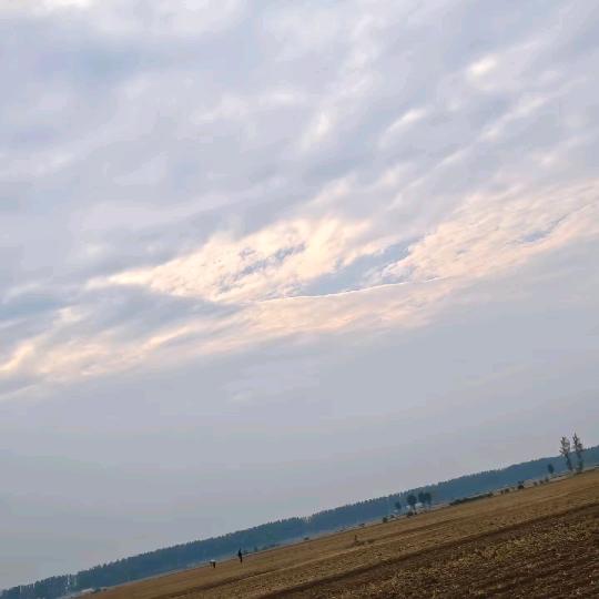 倔强女生