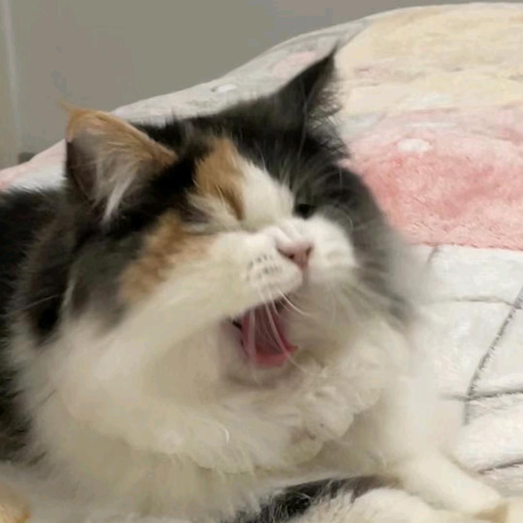 zZ
