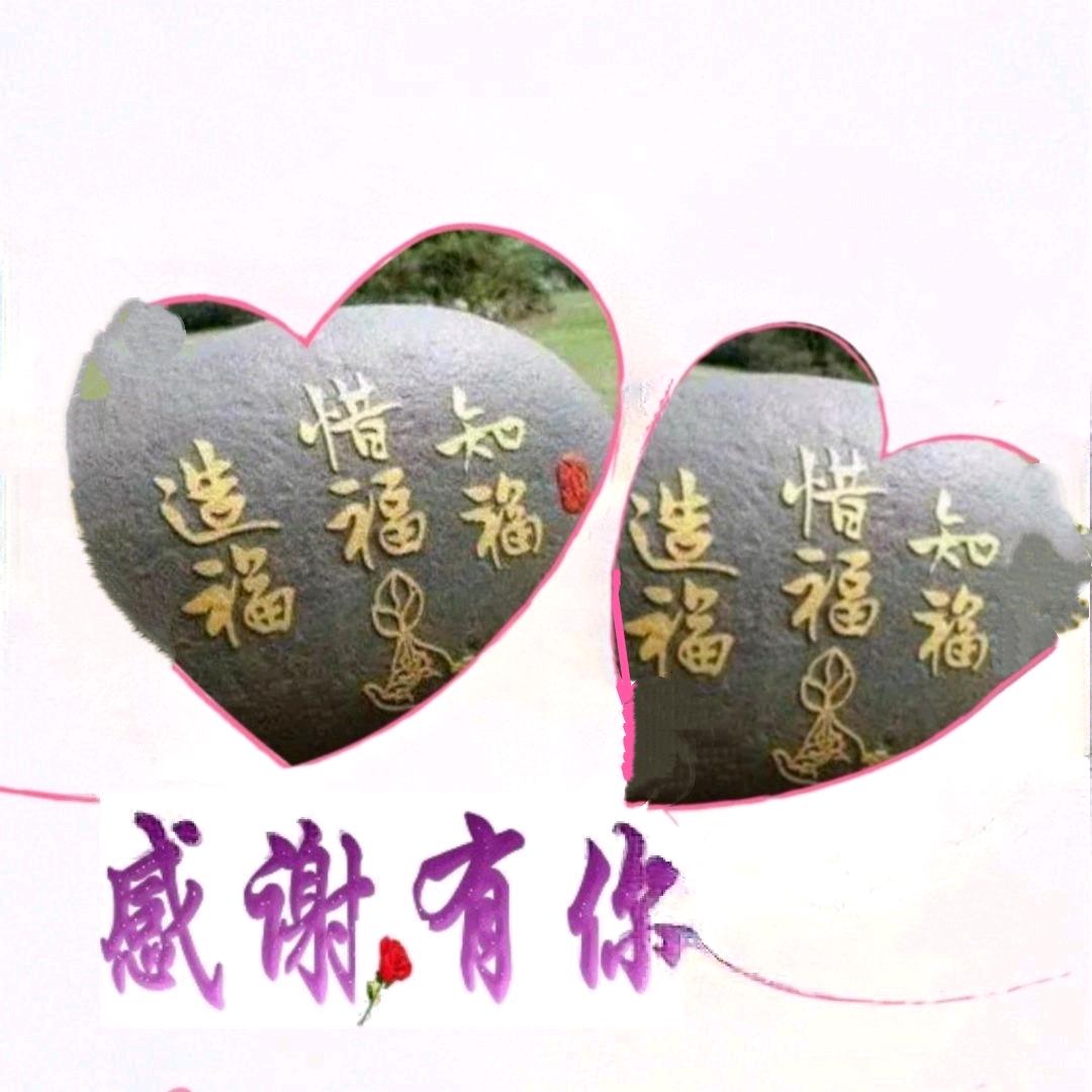 用户5526224096915
