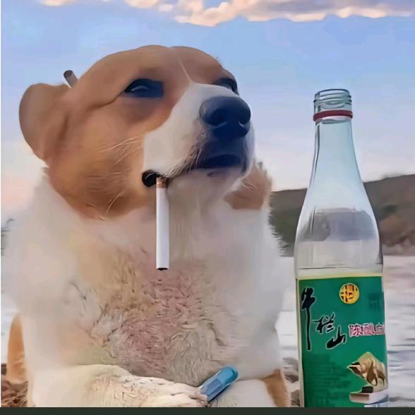 🇨🇳蜗🐌牛🐌🇨🇳