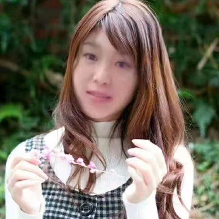 肥肥鲨