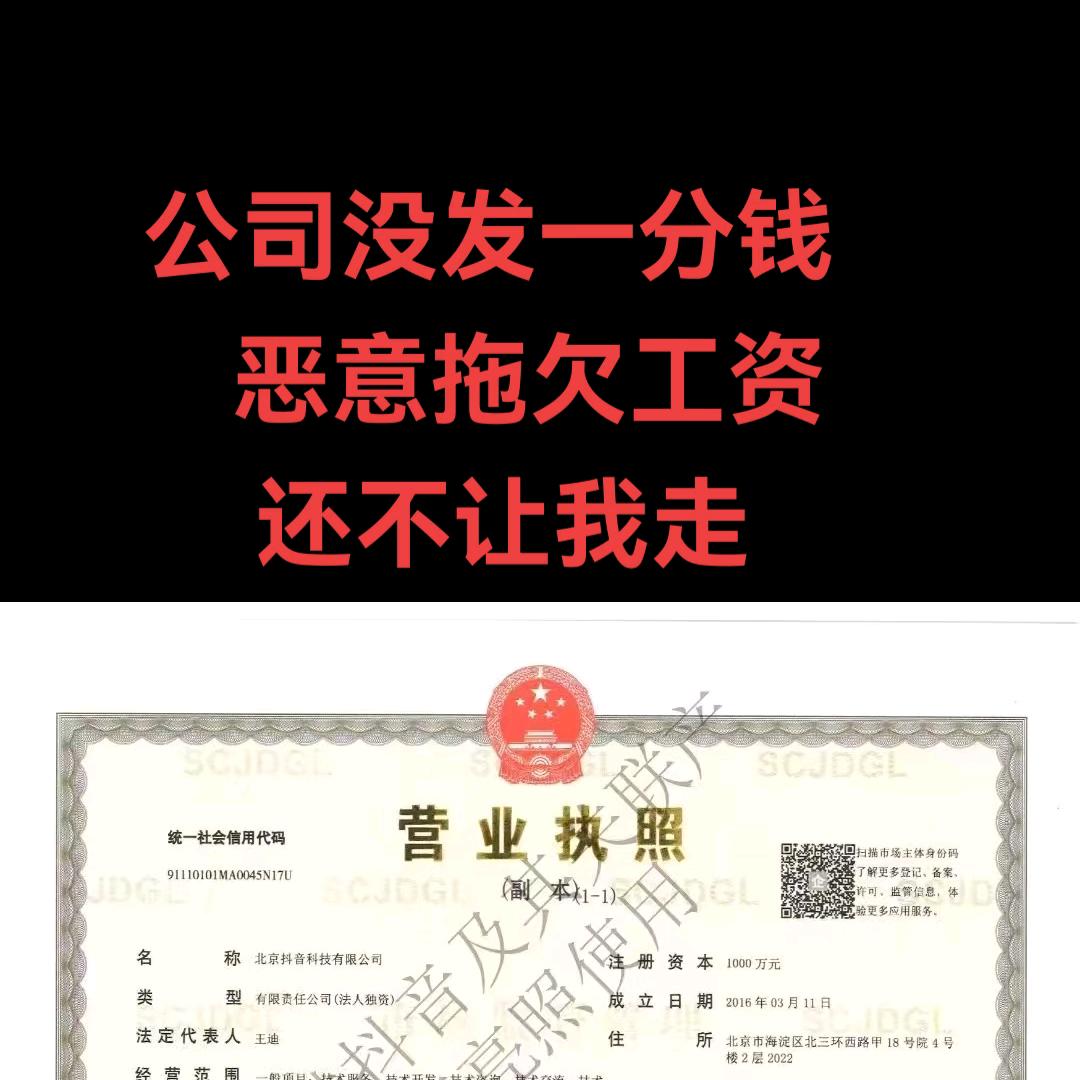 高丽丽