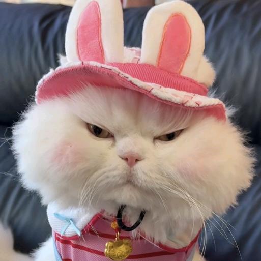 吞天牌盒饭（一见无始道成空）