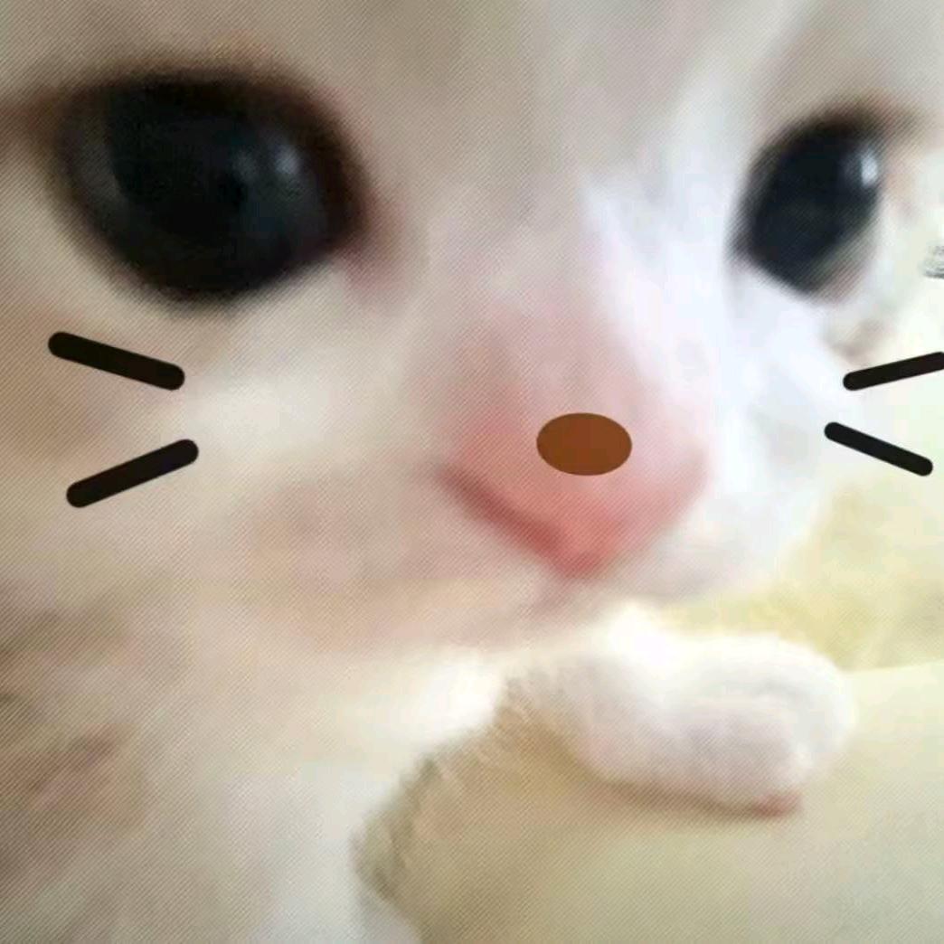 半个橘子.