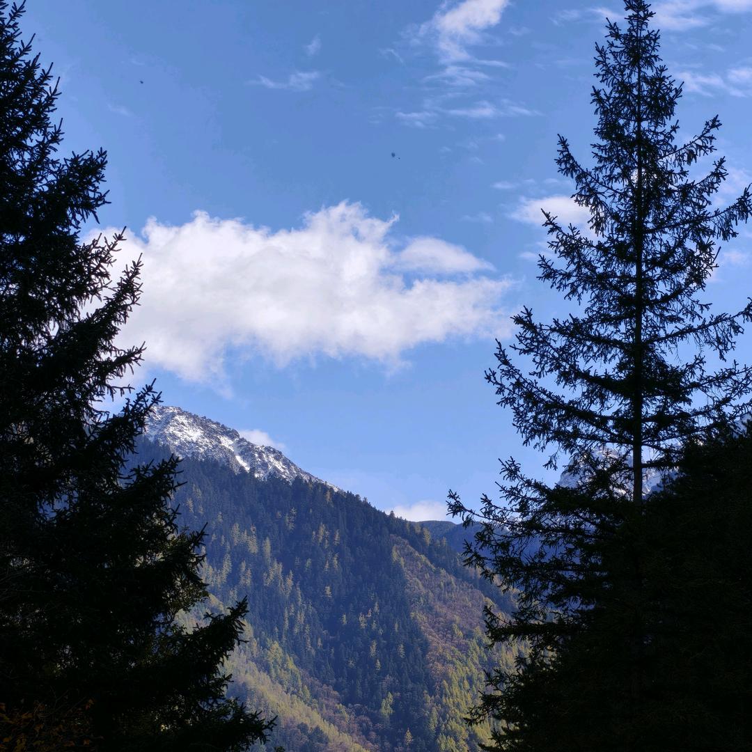 亚里士多德多劳才多得