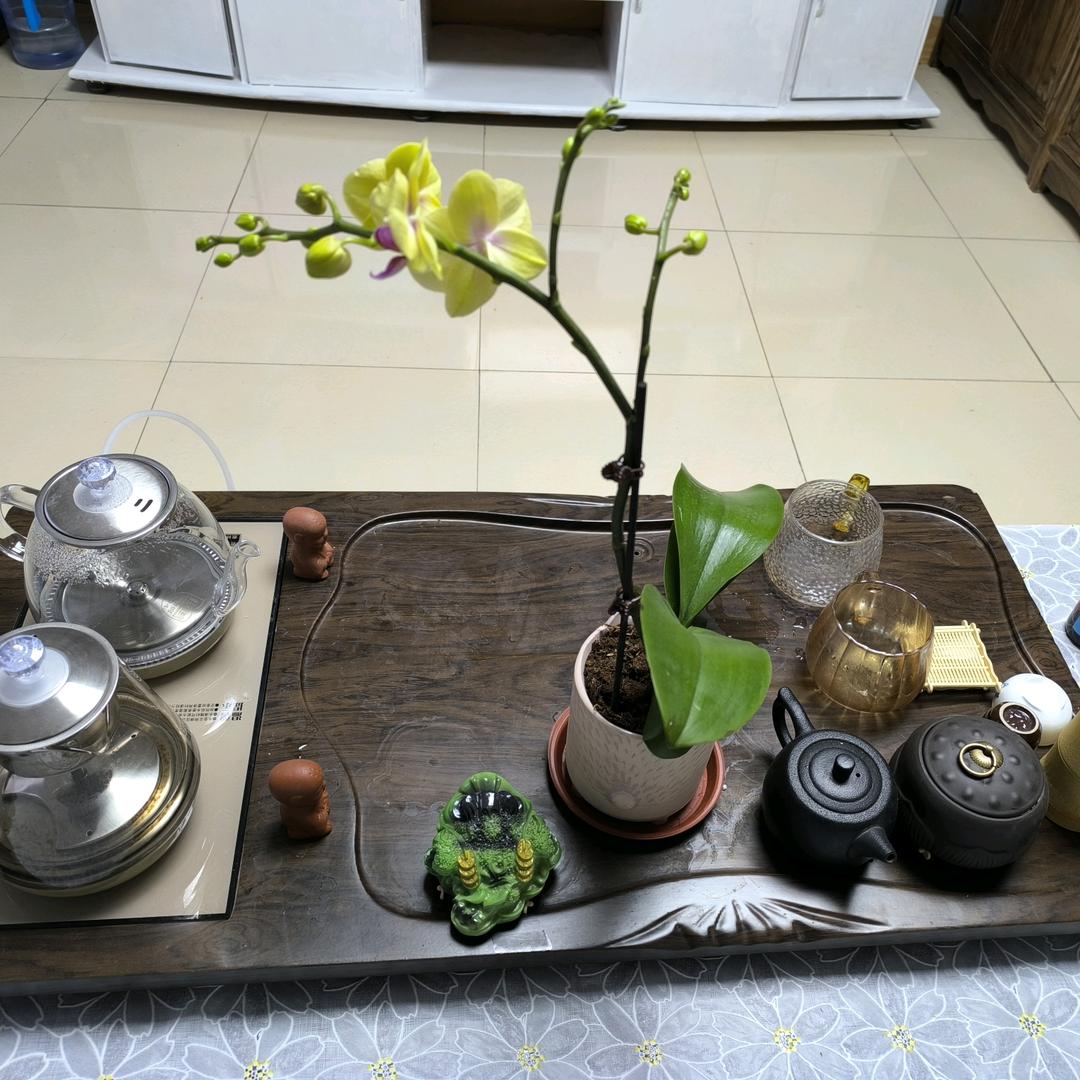 天保自助餐