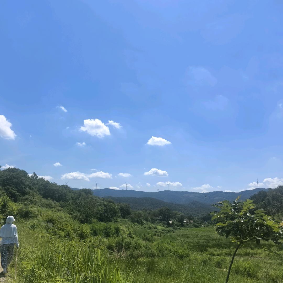 旺旺仙贝