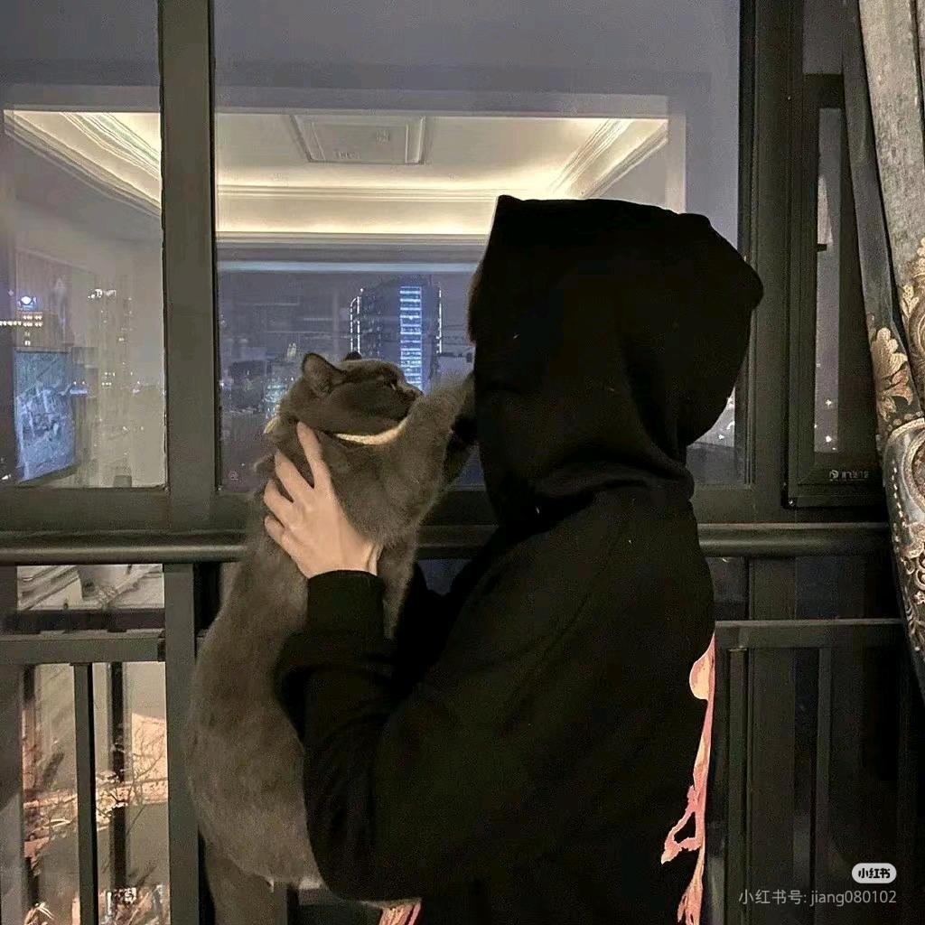 小猫碎碎念⌯'Ⱉ'⌯