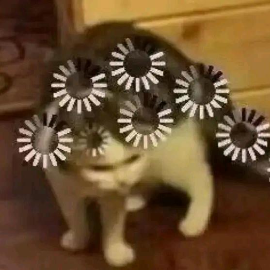 这名字就这样吧