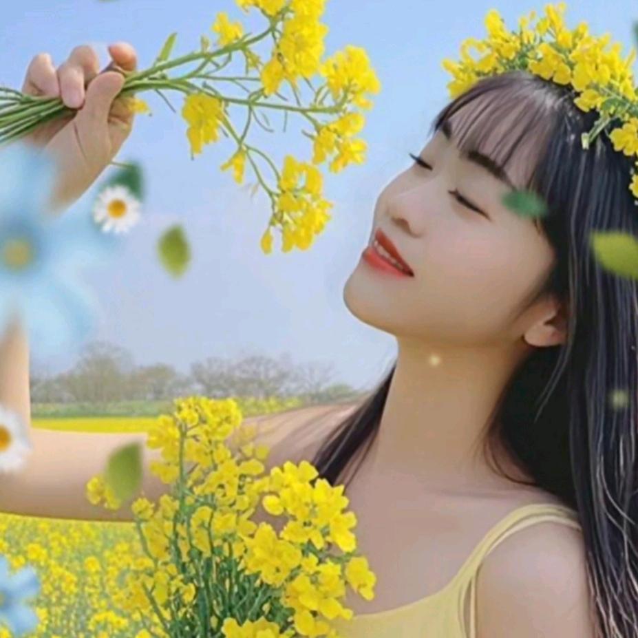 倩宝