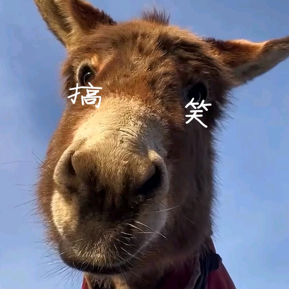 小命儿