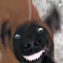 略略略
