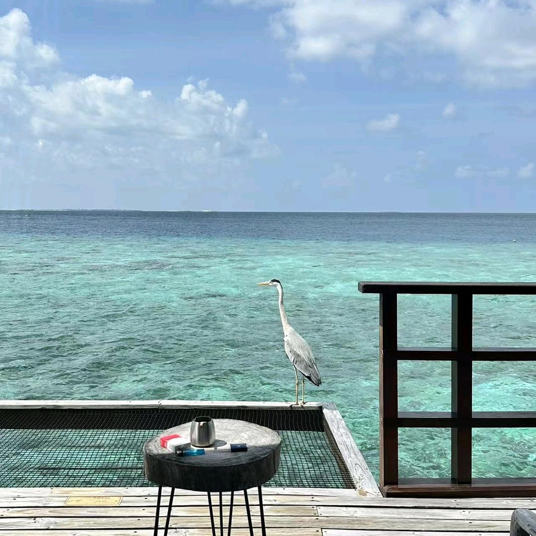 杰森沃克