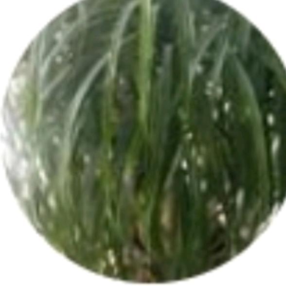 收藏鉴赏