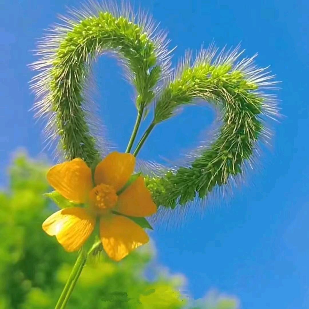 💫💞୧⍤⃝简单✮