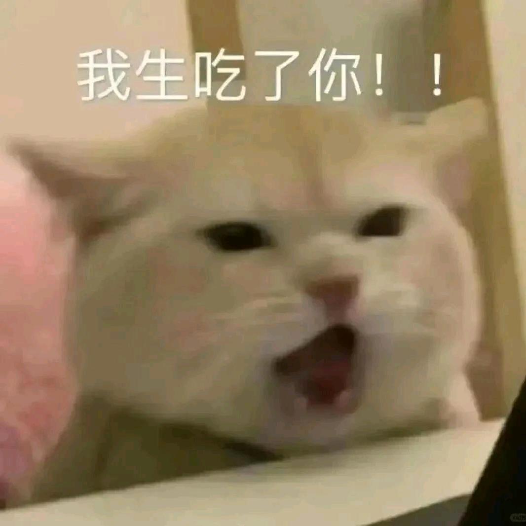 欠调教的光光