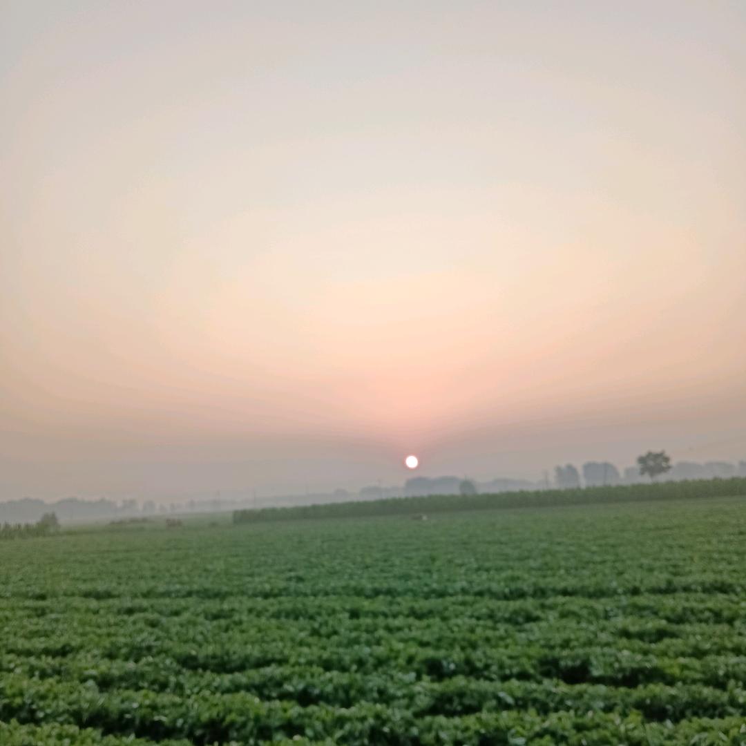夜雨星梦
