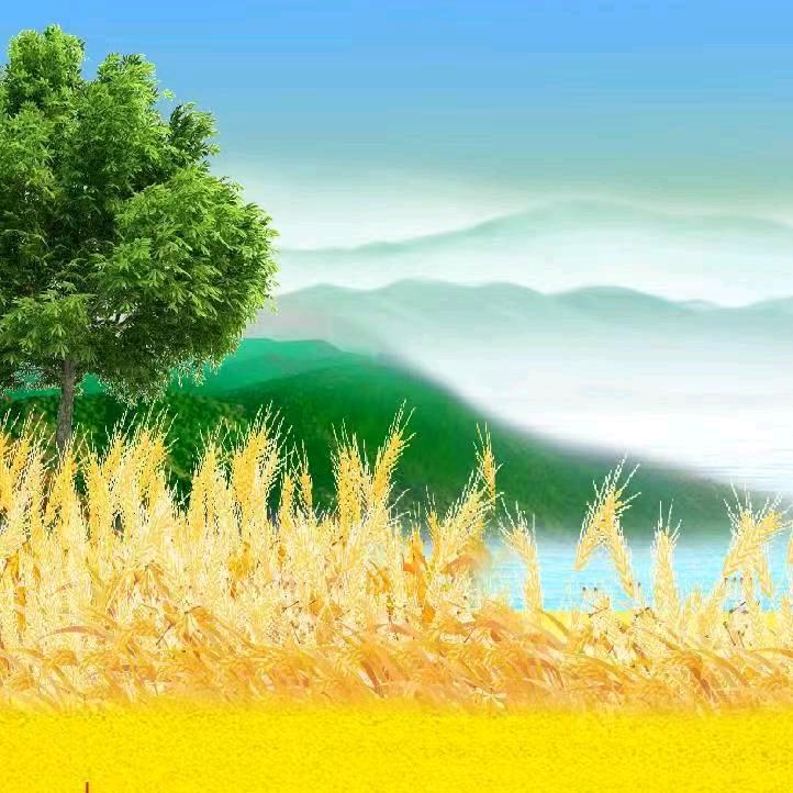 小魔鱼