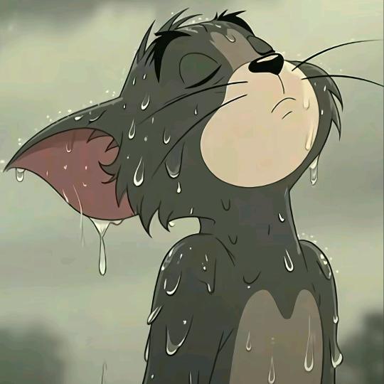 ̊ଳ ̊