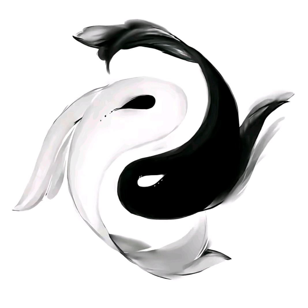 杜岚居士