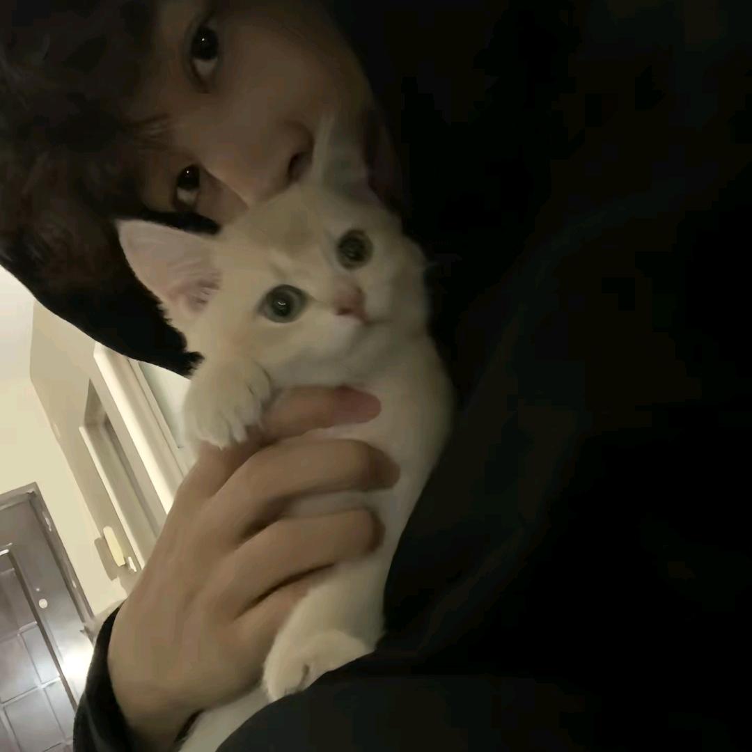 ChenChen
