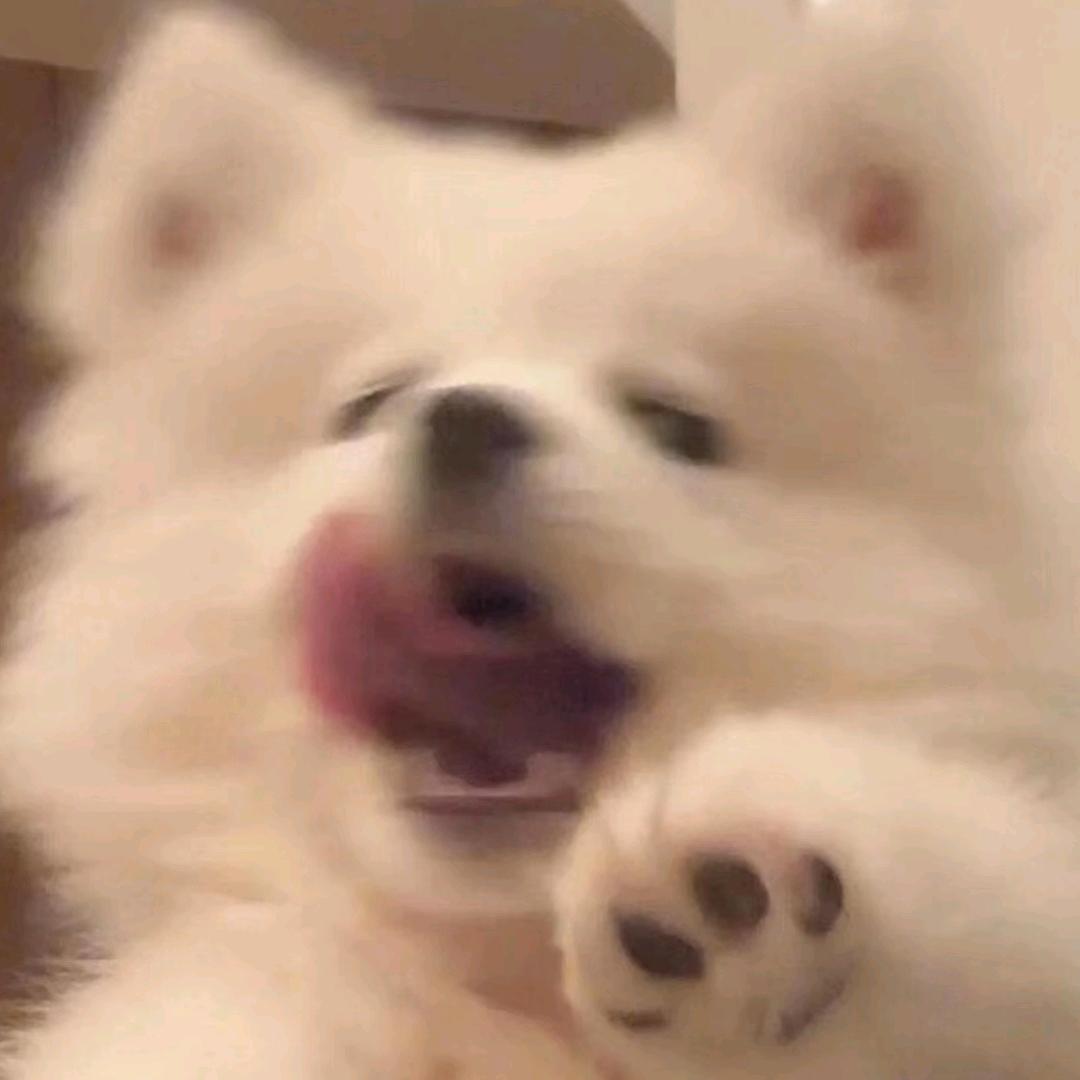 每天少二两肉