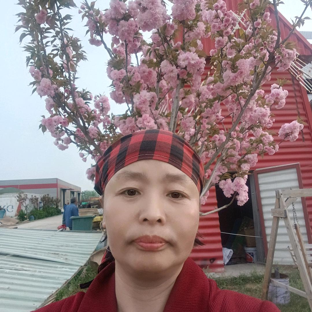 头郑绿一号。戎≈f,,