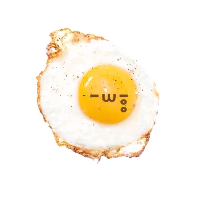 Tulip🐾
