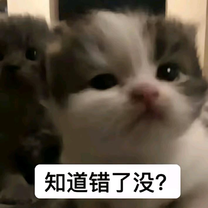 要好好睡觉才对嘛