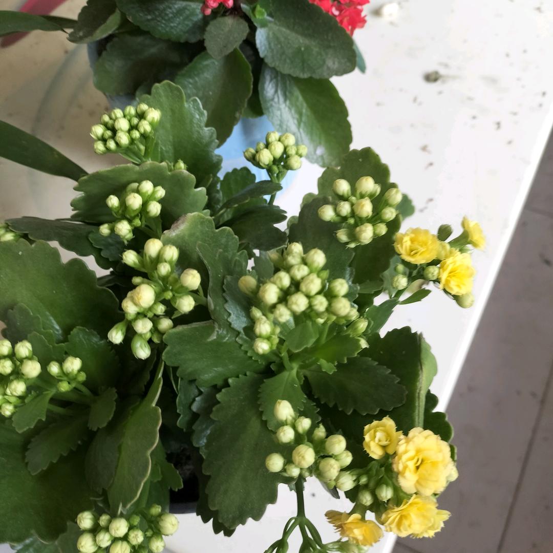 余生吃好喝好