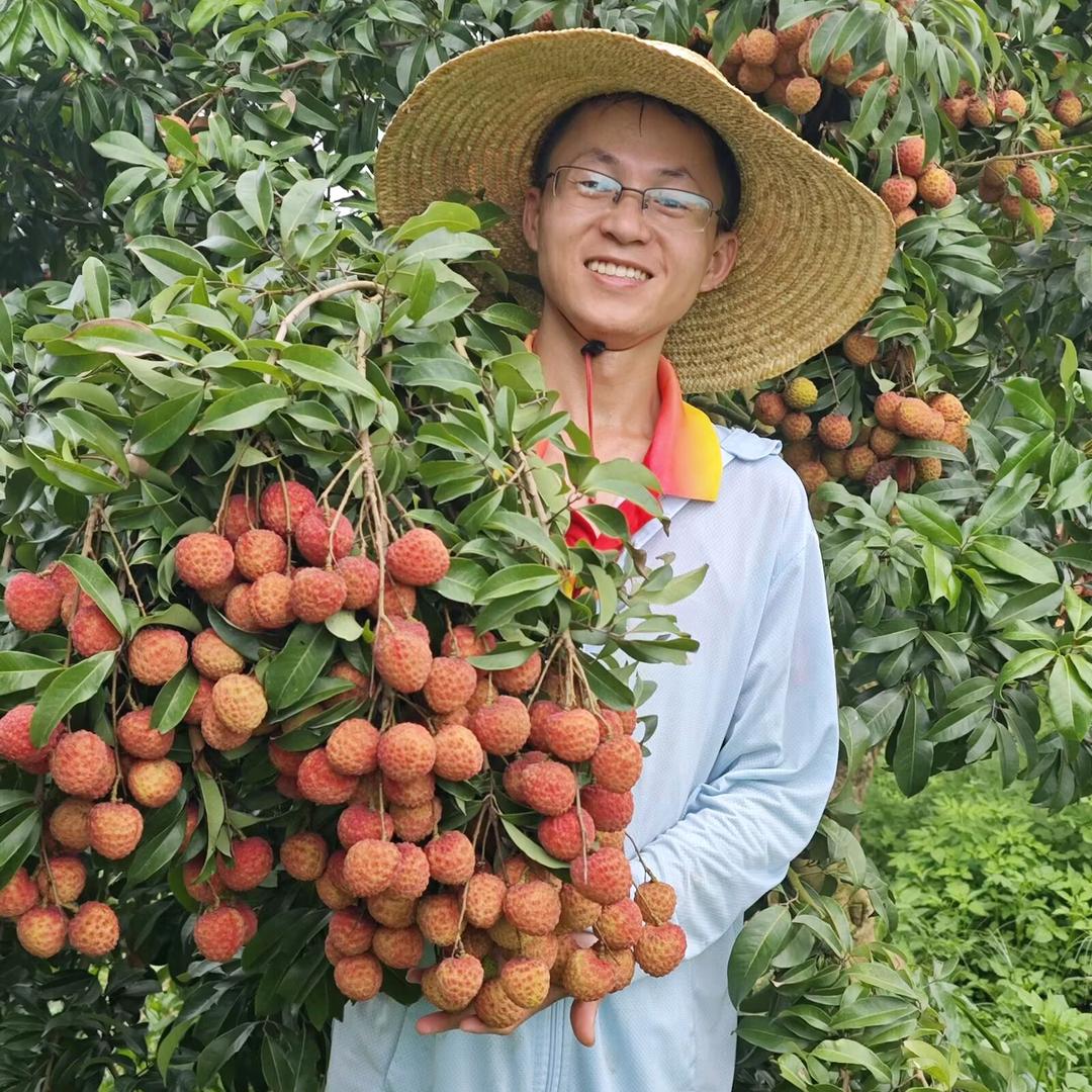 宾哥苗场