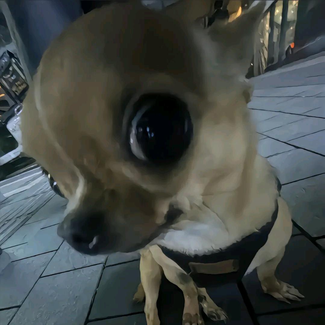 牛仔