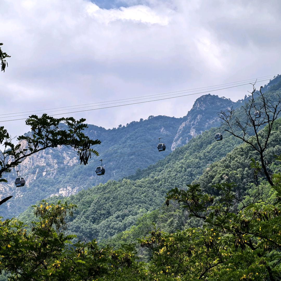 泰山与城