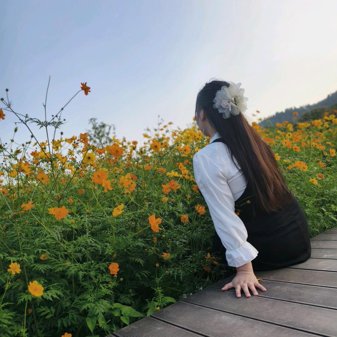 是番茄炒蛋啊