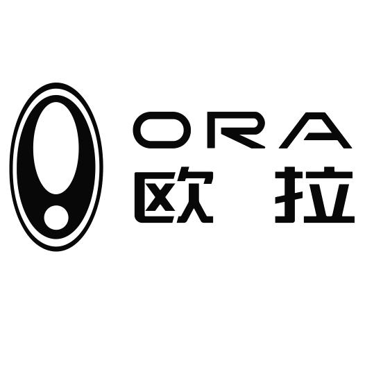 欧拉汽车-连云港锦晟4S店