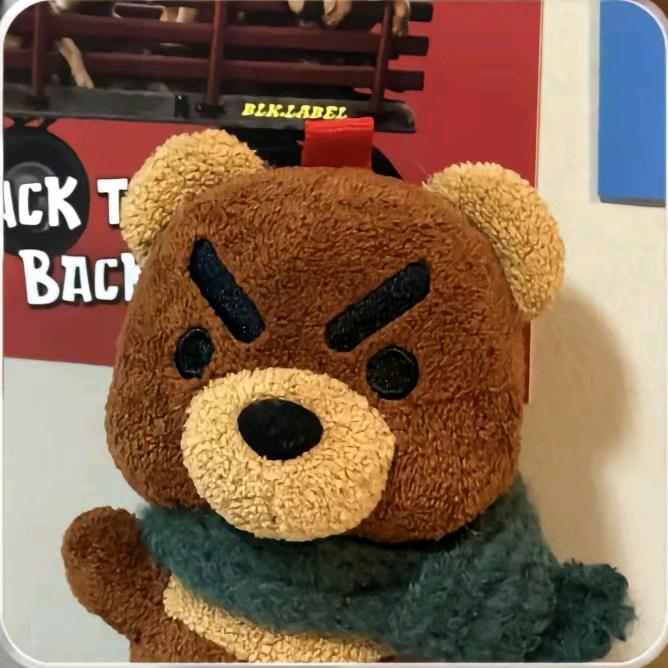 会飞的大手子