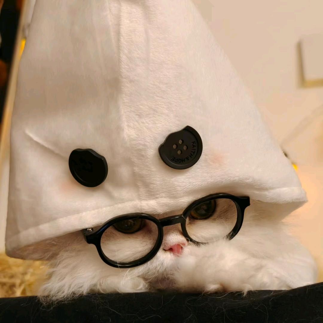 向阳花开又开