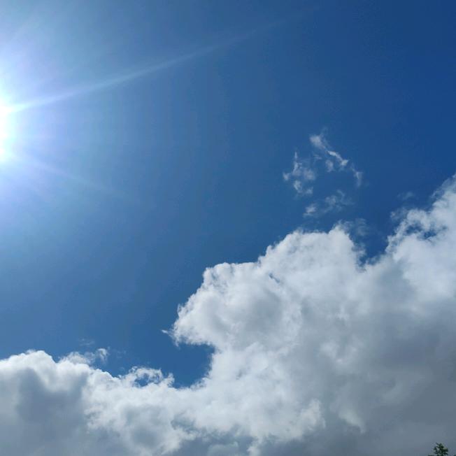 太平丽丽