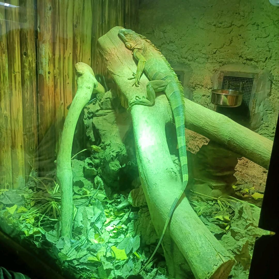 请喊出我的名字！！海哥♥(｡￫v￩｡)♥