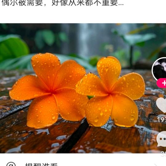 许你一世安然(●'◡'●)