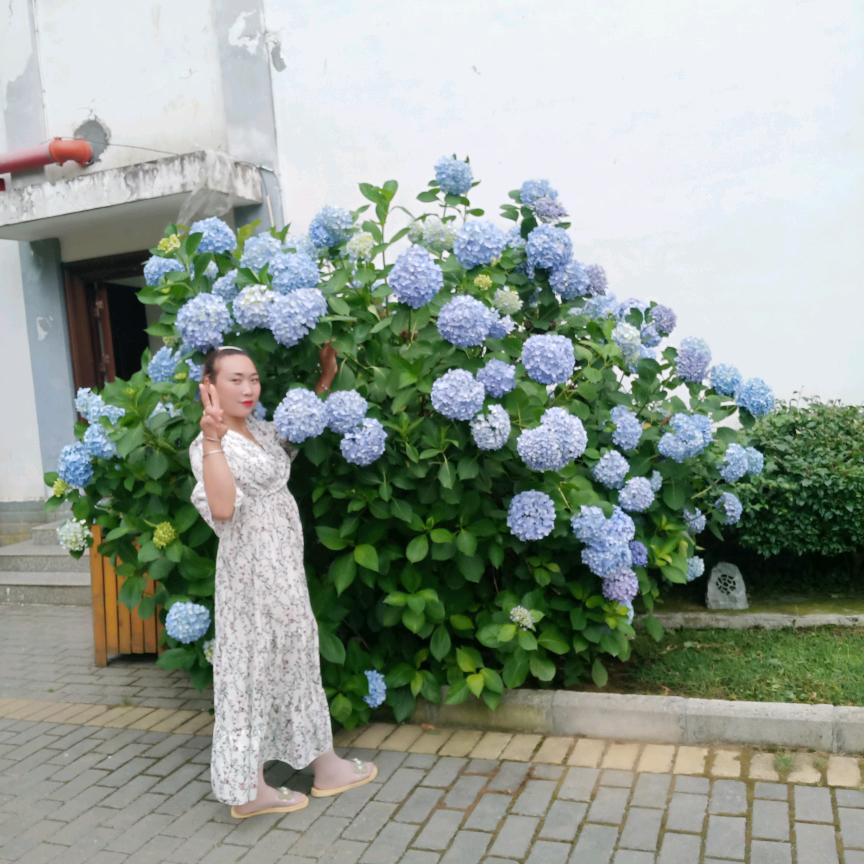 鲁屯镇七一村碗厂姐妹花灯六妹