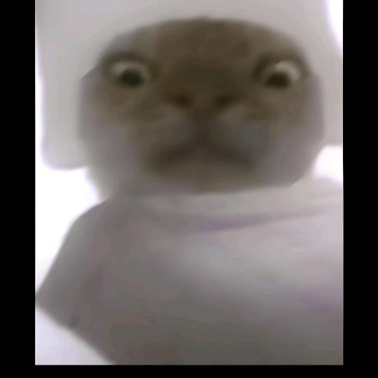 小德子（以德服人）