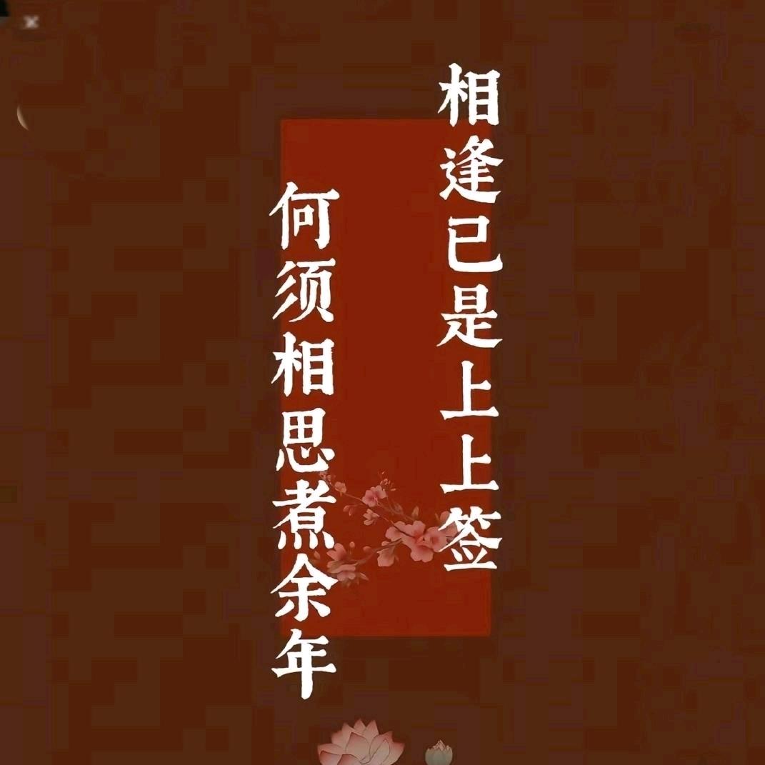 相逢已是上上签