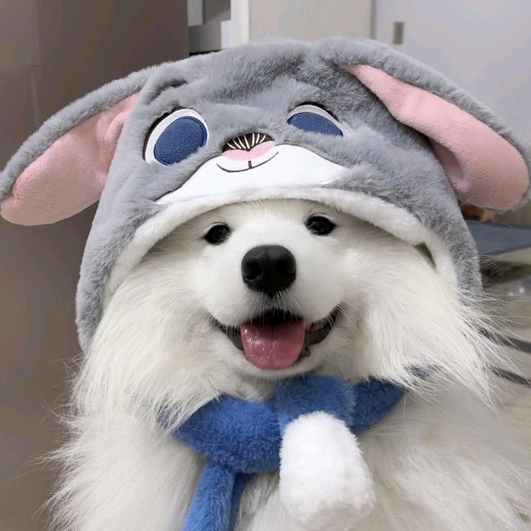 掌心脆.