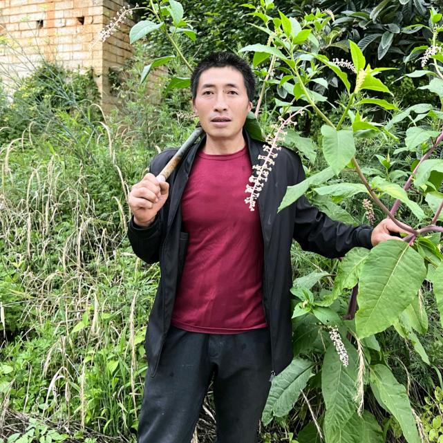 华哥山货